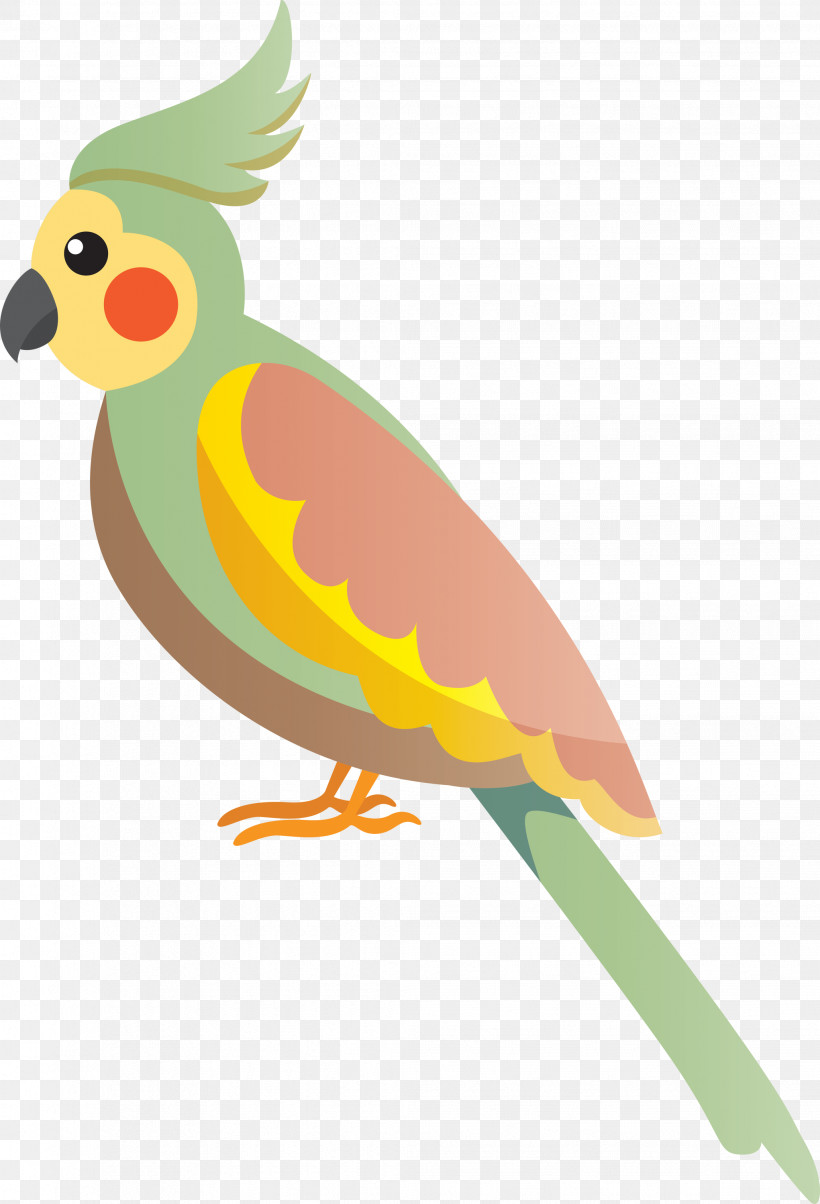 Lovebird, PNG, 2042x3000px, Bird Cartoon, Beak, Biology, Bird Of Prey, Birds Download Free
