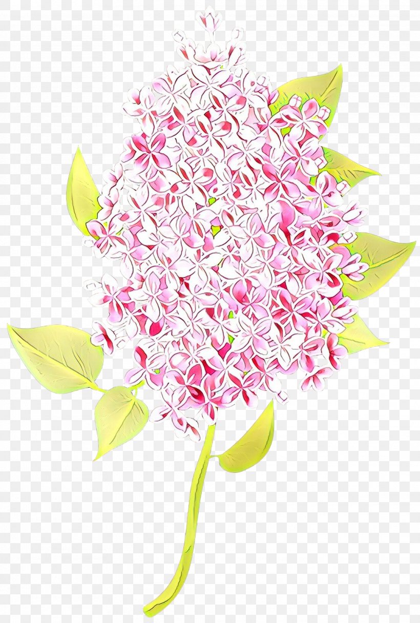 Pink Flower Plant Cut Flowers Anthurium, PNG, 2023x3000px, Cartoon, Anthurium, Cut Flowers, Flower, Pink Download Free