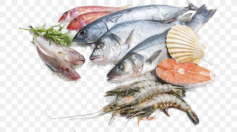 Sustainable Seafood Fish Processing Salmon, PNG, 690x456px, Seafood, Animal Source Foods, Atlantic Cod, Fish, Fish Processing Download Free