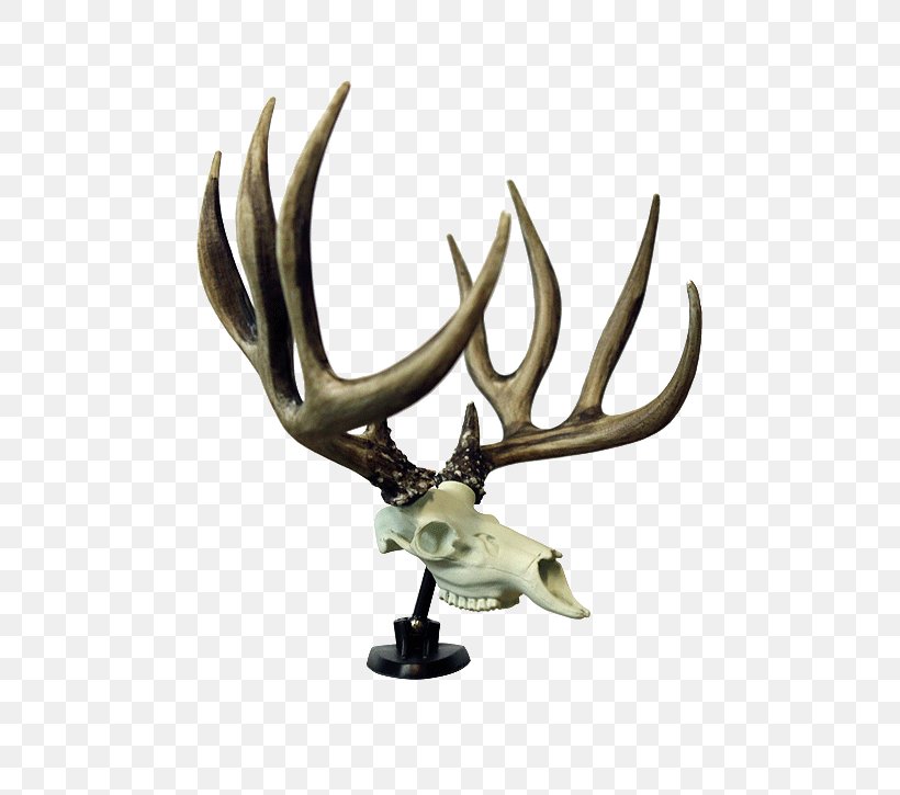 Antler Reindeer Symbol, PNG, 570x725px, Antler, Com, Culture, Deer, Desk Download Free