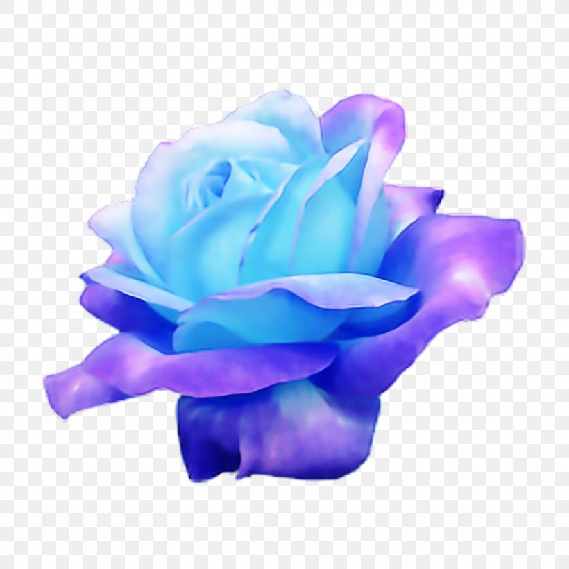 Blue Rose, PNG, 1024x1024px, Blue, Blue Rose, Flower, Garden Roses, Petal Download Free