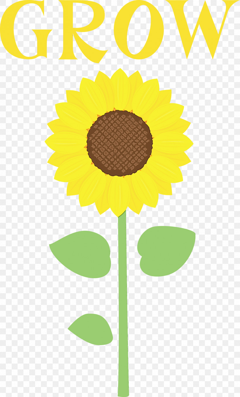 Floral Design, PNG, 1816x3000px, Grow, Cut Flowers, Daisy Family, Floral Design, Flower Download Free