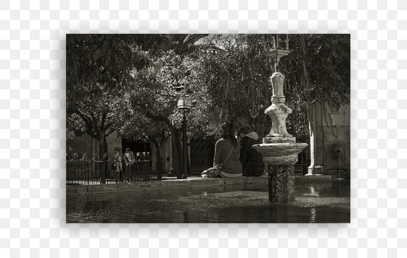 Photography Picture Frames Water Feature Memorial, PNG, 712x520px, Photography, Black And White, Film Frame, Landscape, Memorial Download Free