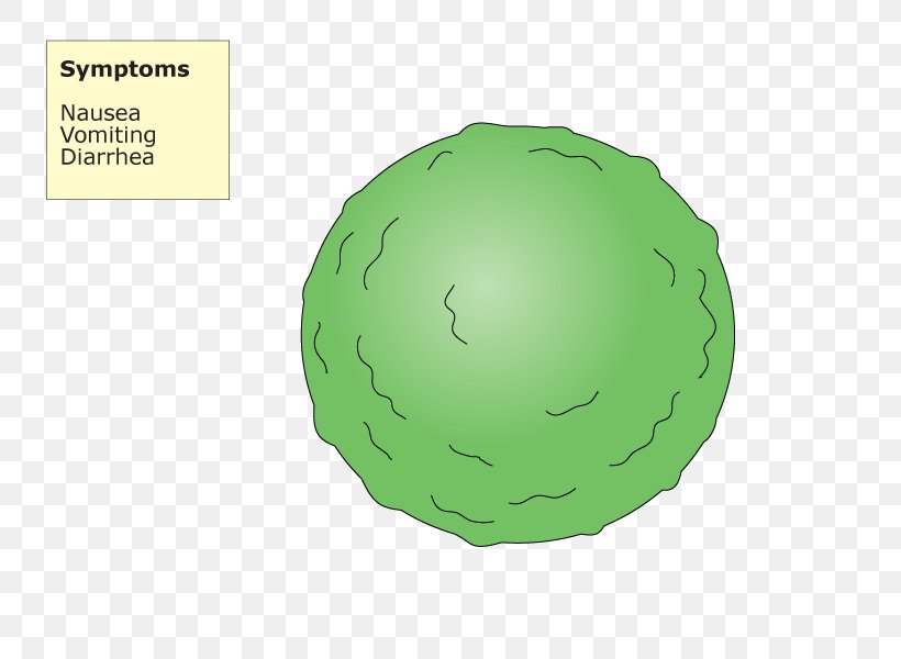Sphere, PNG, 800x600px, Sphere, Grass, Green, Plant Download Free