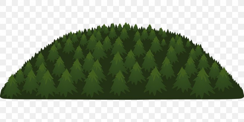 Tree Forest Evergreen Conifers, PNG, 1280x640px, Tree, Austrocedrus, Cedar, Coast Redwood, Conifers Download Free