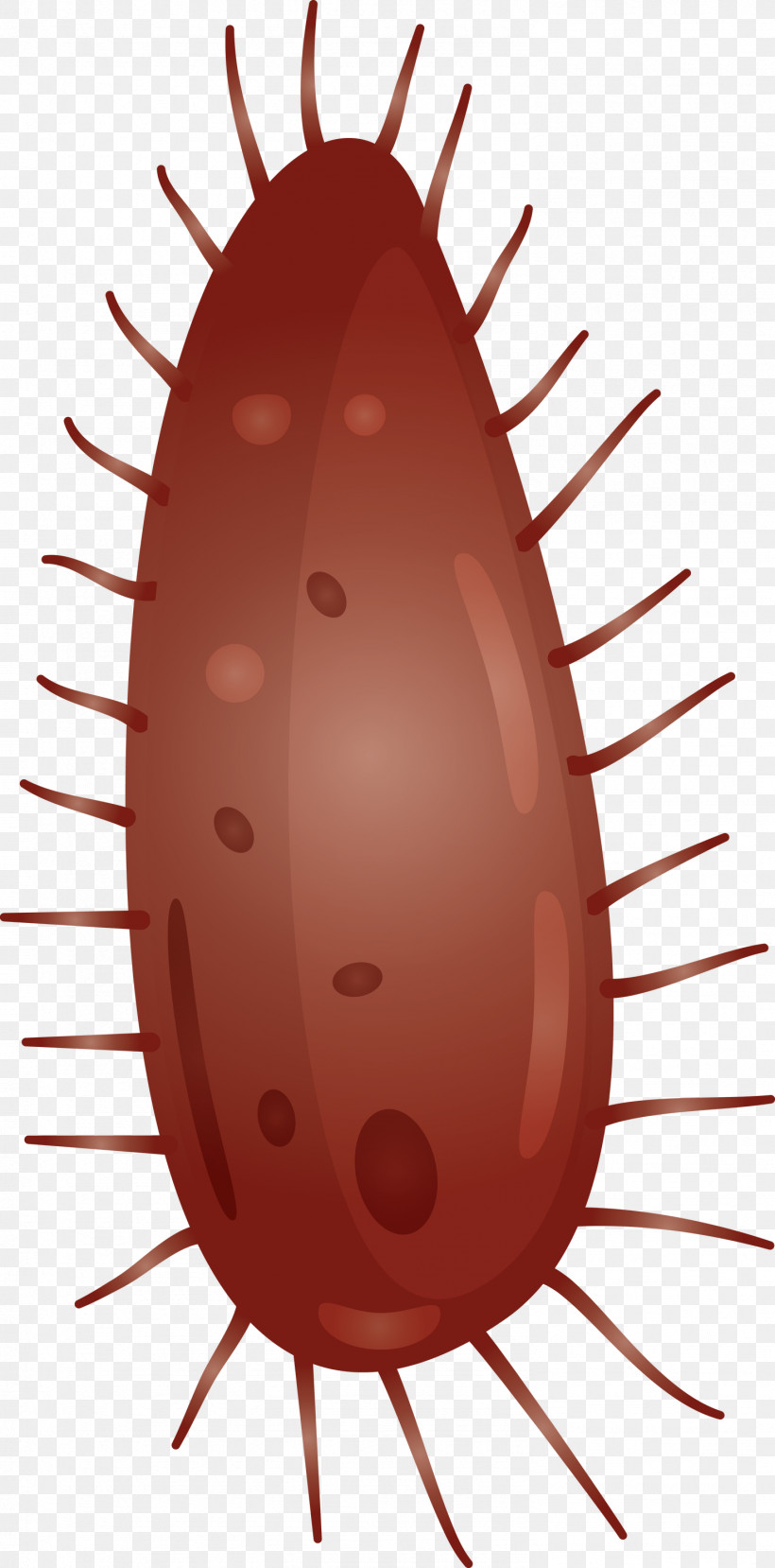 Virus, PNG, 1483x3000px, Virus, Cockroach, Insect, Pest Download Free