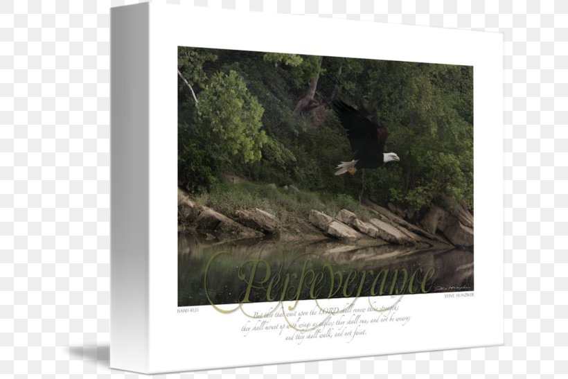 Picture Frames Gallery Wrap Stock Photography Canvas, PNG, 650x547px, Picture Frames, Art, Canvas, Gallery Wrap, Photography Download Free