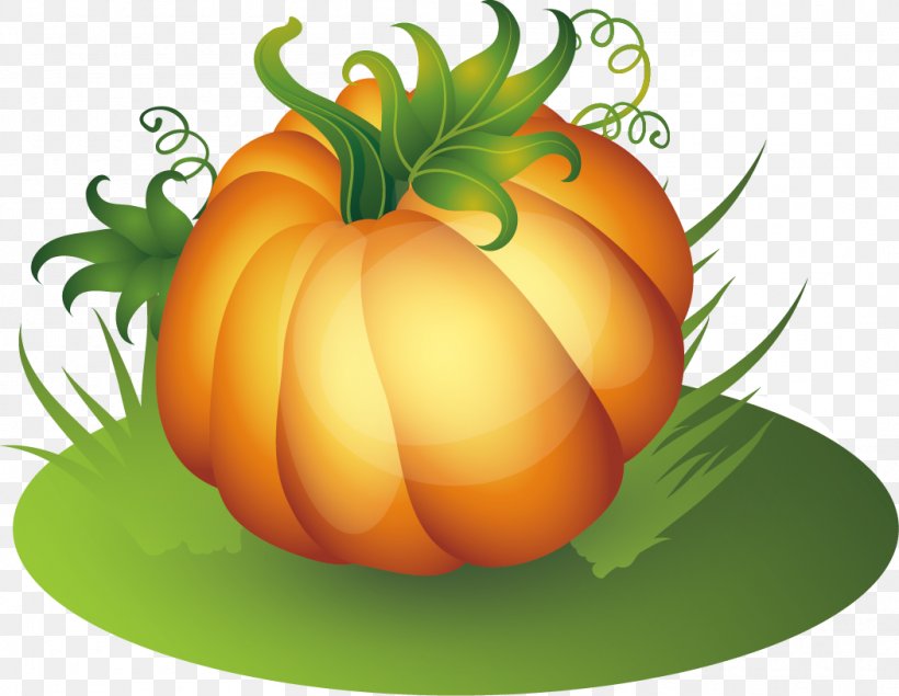 Pumpkin Thanksgiving, PNG, 1051x814px, Pumpkin, Calabaza, Cartoon, Cucumber Gourd And Melon Family, Cucurbita Download Free