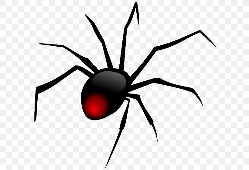 Spider Clip Art, PNG, 611x558px, Spider, Arachnid, Arthropod, Artwork, Black And White Download Free