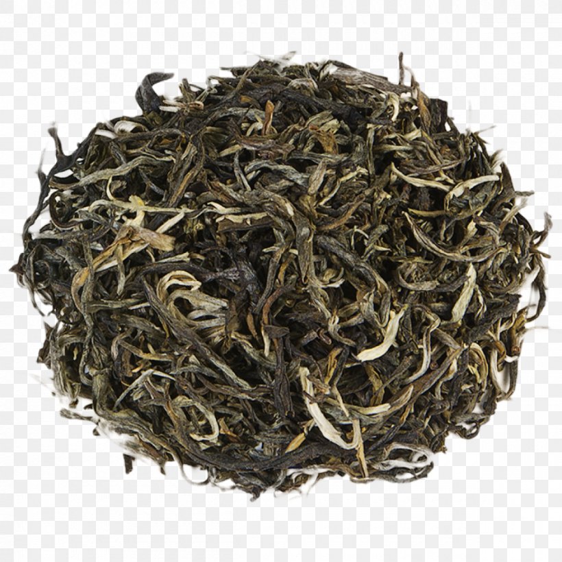 Dianhong Gunpowder Tea Oolong White Tea Nilgiri Tea, PNG, 1200x1200px, Dianhong, Assam Tea, Bai Mudan, Baihao Yinzhen, Bancha Download Free