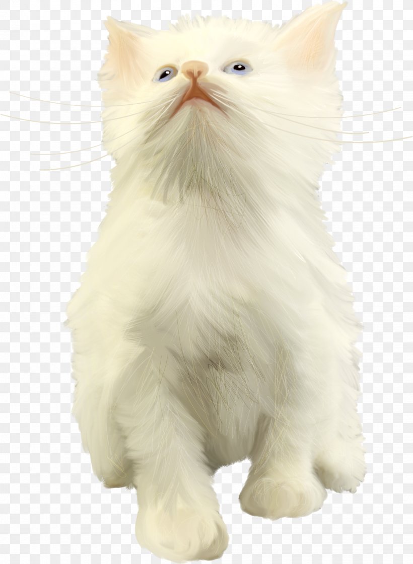 Persian Cat Asian Semi-longhair Norwegian Forest Cat Turkish Angora Turkish Van, PNG, 1336x1825px, Persian Cat, Animal, Asian Semi Longhair, Asian Semilonghair, British Semi Longhair Download Free