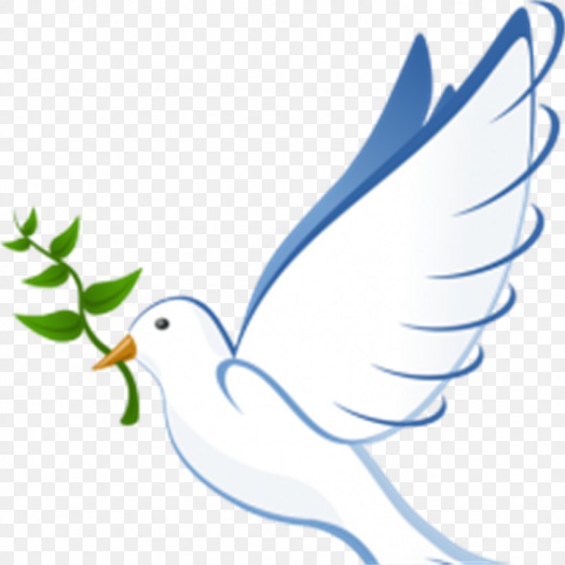 Pigeons And Doves Clip Art Email Doves As Symbols Peace, PNG, 1024x1024px, Pigeons And Doves, Area, Art, Artwork, Beak Download Free