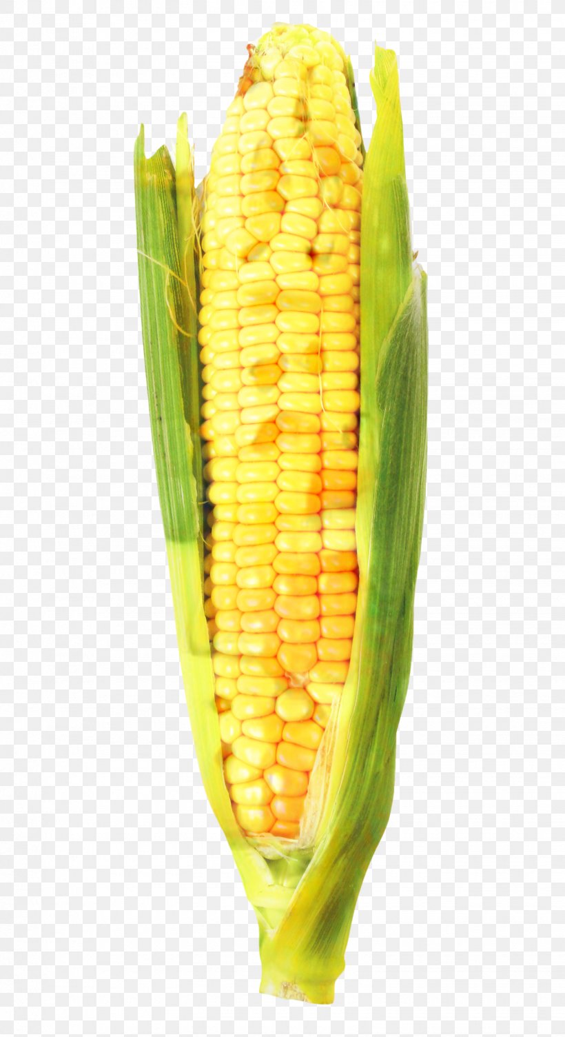 Vegetable Cartoon, PNG, 1530x2808px, Corn On The Cob, Corn, Corn Kernel, Corn Kernels, Corn Tortilla Download Free