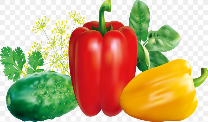 Chili Pepper Red Bell Pepper Vegetable, PNG, 2288x1347px, Chili Pepper, Bell Pepper, Bell Peppers And Chili Peppers, Capsicum, Cayenne Pepper Download Free