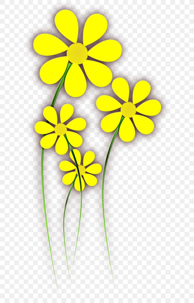 Flowers Background, PNG, 640x1280px, Flower, Blossom, Blume, Cut Flowers, Drawing Download Free