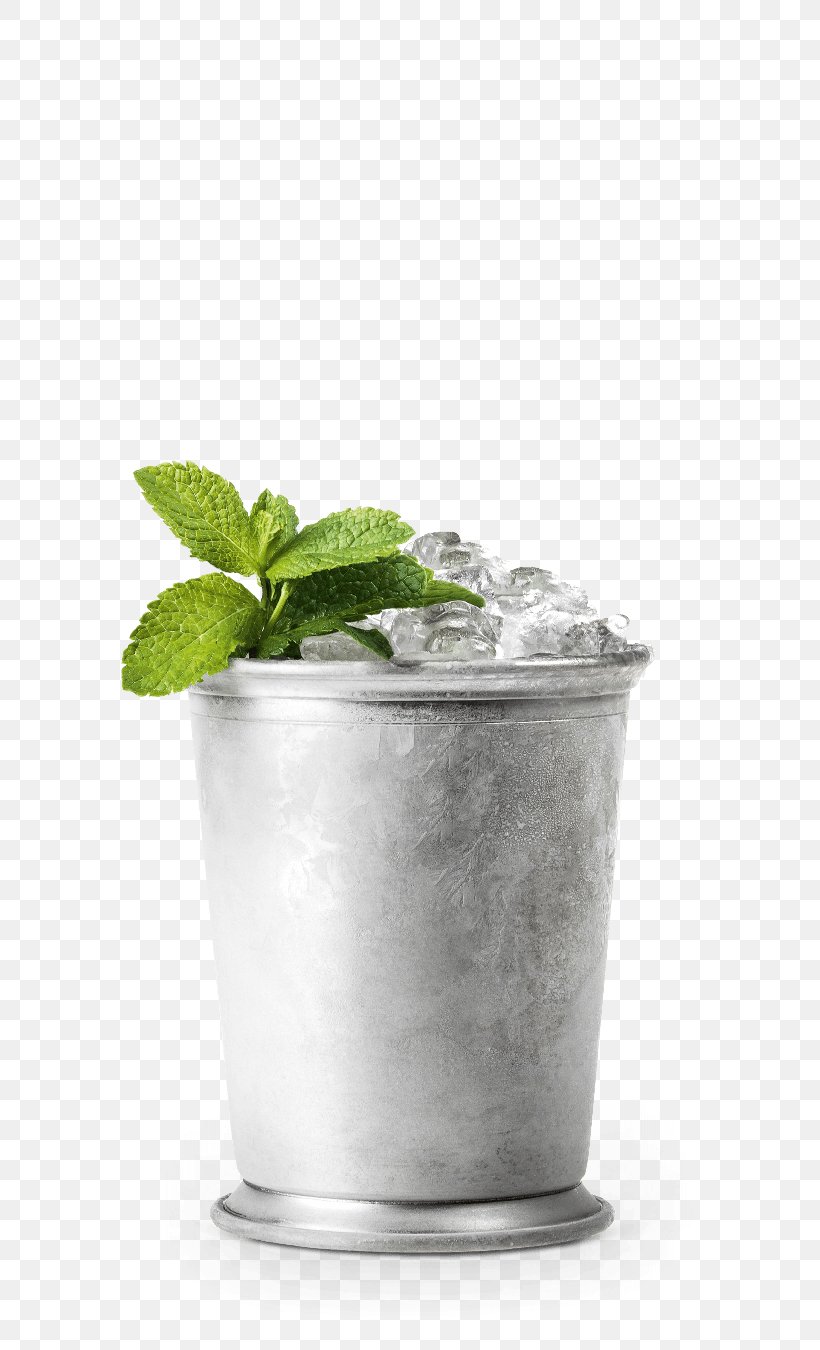 Schladerer Mint Julep Fruit Brandy Mojito Tom Collins, PNG, 600x1350px, Schladerer, Flowerpot, Fruit Brandy, Ingredient, Kirsch Download Free