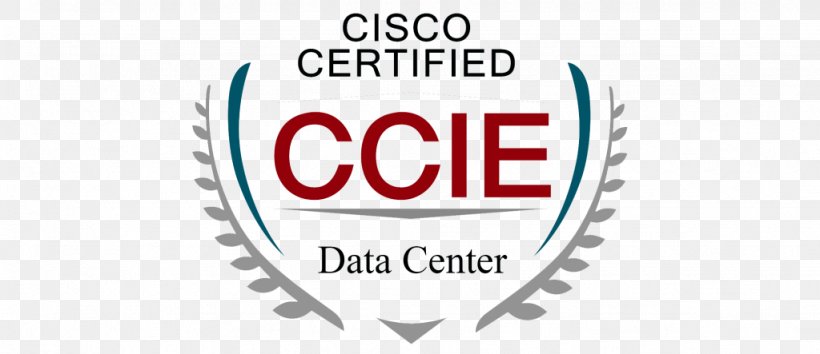 CCIE Certification Cisco Systems CCNP Logo Brand, PNG, 1024x443px, Ccie Certification, Area, Brand, Ccnp, Cisco Systems Download Free