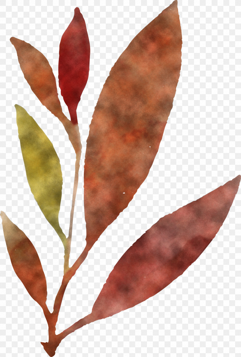 Leaf Plant Stem Twig Plants Biology, PNG, 2026x2999px, Watercolor Autumn, Biology, Leaf, Plant Stem, Plant Structure Download Free