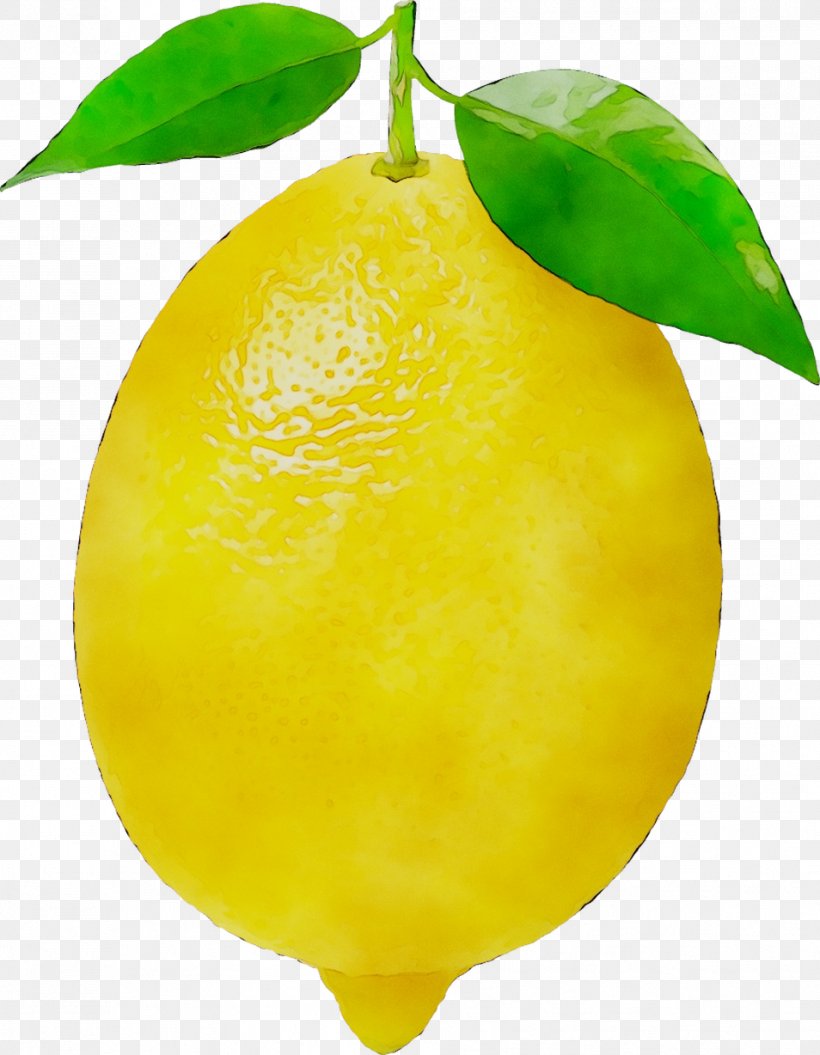 Sweet Lemon Citron Lime Meyer Lemon, PNG, 954x1228px, Lemon, Accessory Fruit, Acid, Citric Acid, Citron Download Free