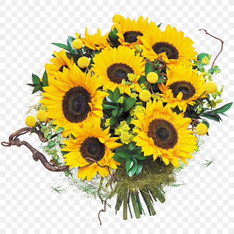 Common Sunflower Flower Bouquet Floral Design Cut Flowers, PNG, 1500x1500px, Common Sunflower, Artificial Flower, Blumenversand, Cut Flowers, Daisy Family Download Free