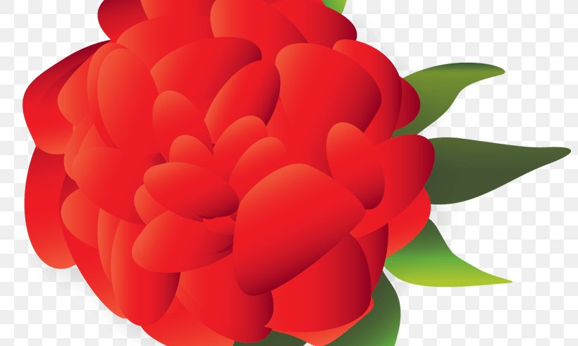Cut Flowers Mexican Cuisine Clip Art, PNG, 800x491px, Flower, Cut Flowers, Drawing, Floral Design, Floristry Download Free