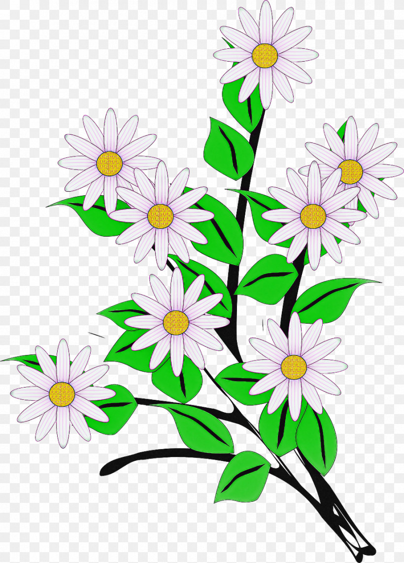 Daisy, PNG, 919x1280px, Flower, Aster, Camomile, Chamaemelum Nobile, Chamomile Download Free