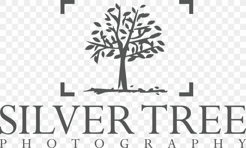 Montana Outfitters & Guide Logo Photography Business United Kingdom, PNG, 1500x907px, Logo, Black And White, Branch, Brand, Business Download Free