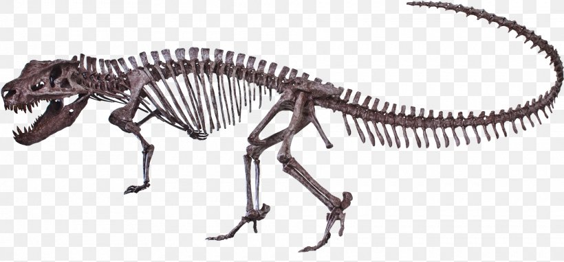 Postosuchus Dinosaur Ornithomimus Reptile Tyrannosaurus, PNG, 1920x896px, Postosuchus, Animal Figure, Black And White, Carnivoran, Chinle Formation Download Free
