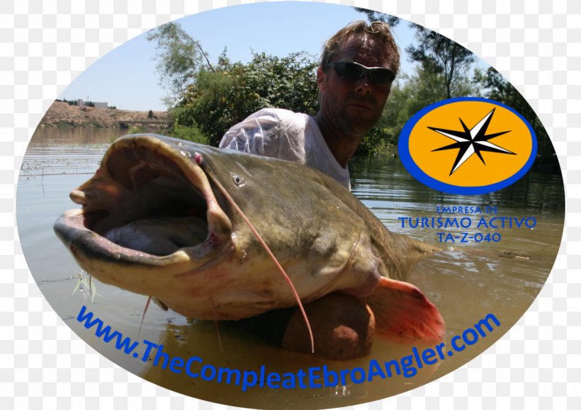 Caspe Sports Recreational Fishing Leisure, PNG, 1000x707px, Sports, Adventure, Animal Source Foods, Aragon, Deporte De Aventura Download Free