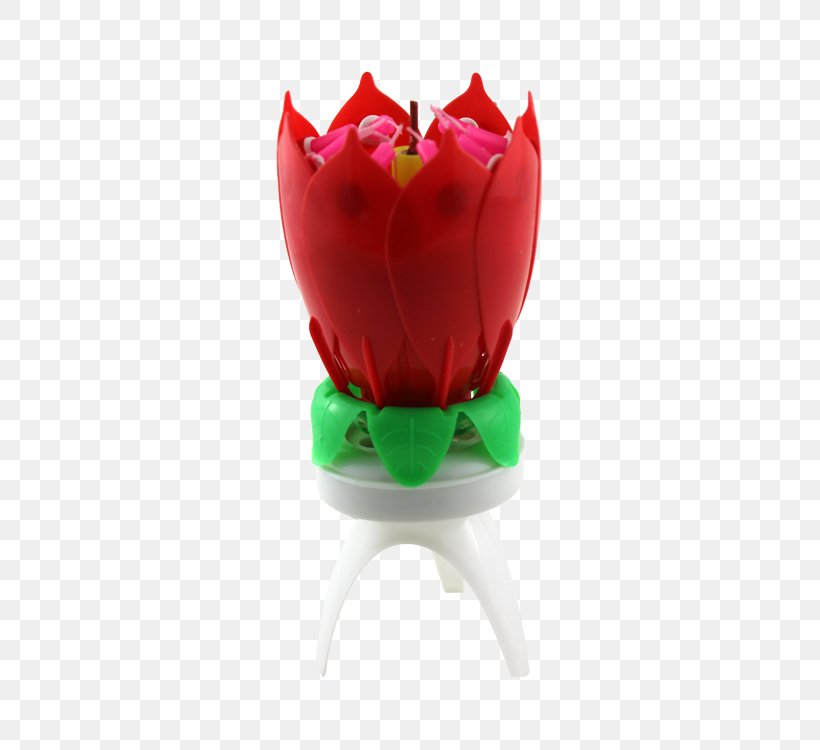 Flowerpot Flowering Plant, PNG, 750x750px, Flower, Flowering Plant, Flowerpot, Plant Download Free