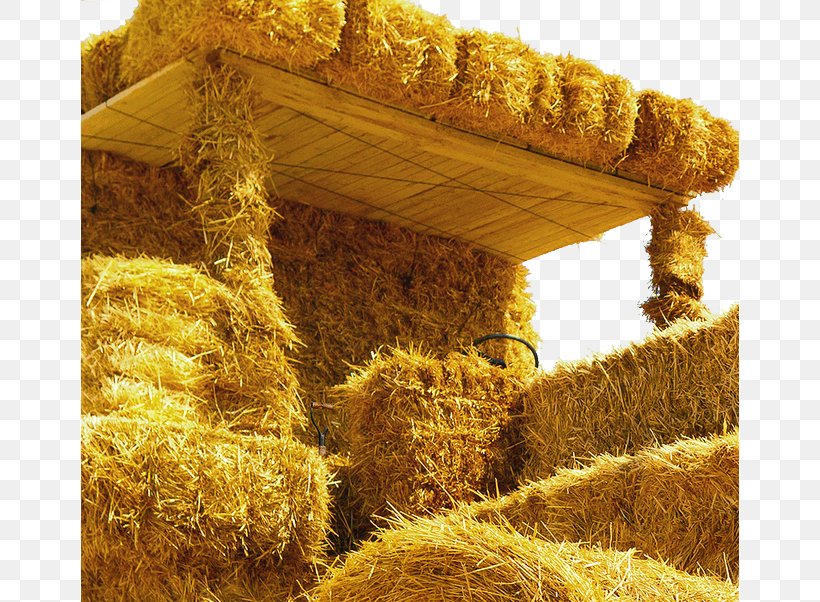 Hay Straw Advertising, PNG, 658x602px, 3d Computer Graphics, Hay, Advertising, Agriculture, Behance Download Free