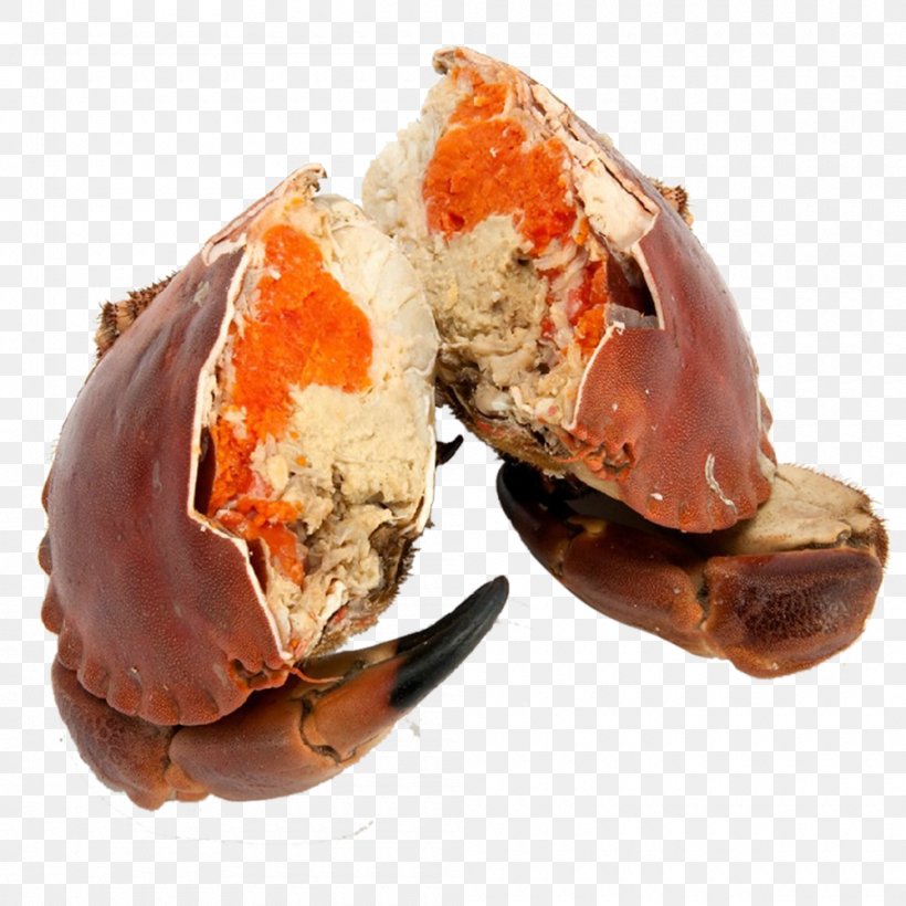 King Crab Cancer Pagurus Seafood, PNG, 1000x1000px, Crab, Animal Source Foods, Bayonne Ham, Cancer, Cancer Pagurus Download Free