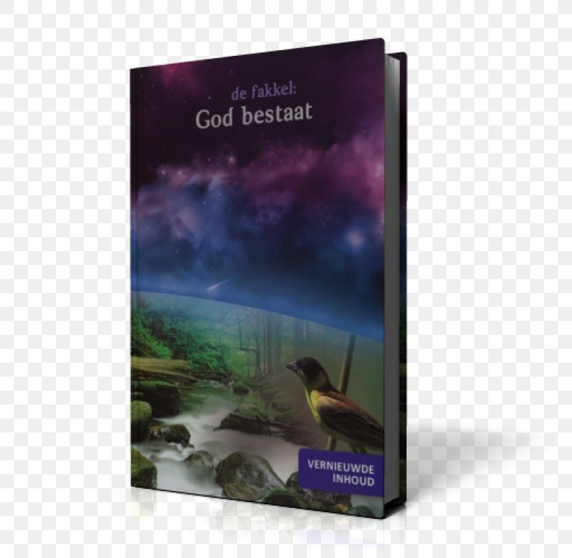 Names Of God In Islam Existence Doctrine Allah, PNG, 800x800px, God, Advertising, Ahmed Deedat, Allah, Book Download Free