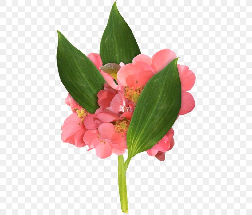 Cut Flowers Hydrangea Floral Design, PNG, 457x699px, Flower, Alstroemeriaceae, Blossom, Cut Flowers, Floral Design Download Free