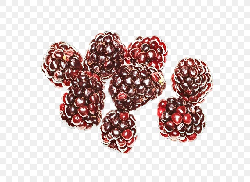 Fruit Cartoon, PNG, 600x600px, Blackberry, Bead, Berries, Berry, Big Hole Bead Download Free