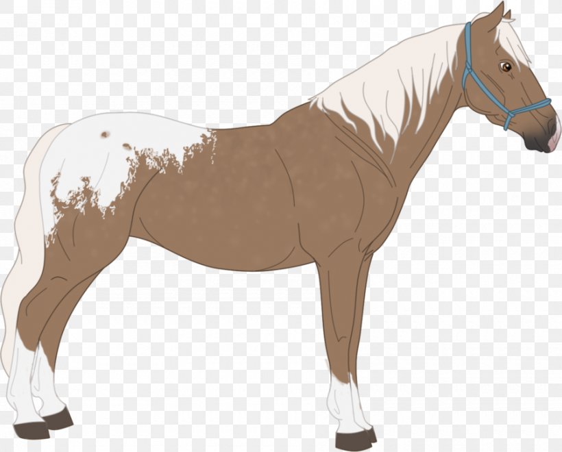 Mane Mustang Stallion Mare Rein, PNG, 900x725px, Mane, Animal Figure, Bit, Bridle, Halter Download Free