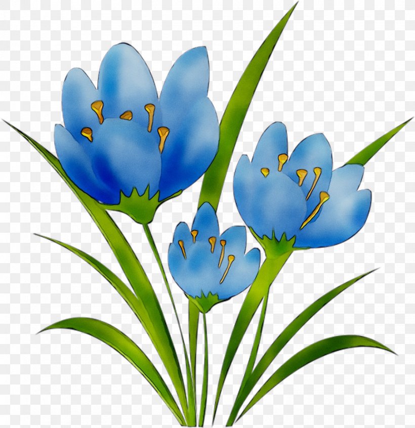 Crocus Herbaceous Plant Plant Stem Tulip Plants, PNG, 1125x1162px, Crocus, Blue, Botany, Cretan Crocus, Flower Download Free