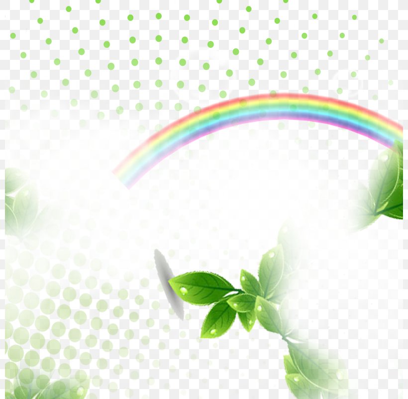 Light Rainbow, PNG, 800x800px, Light, Color, Computer Graphics, Flora, Flower Download Free