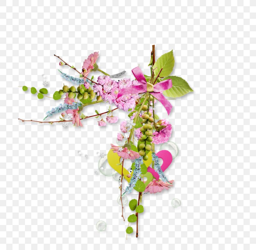 Picture Frames Clip Art, PNG, 800x800px, Picture Frames, Blossom, Branch, Digital Scrapbooking, Drawing Download Free