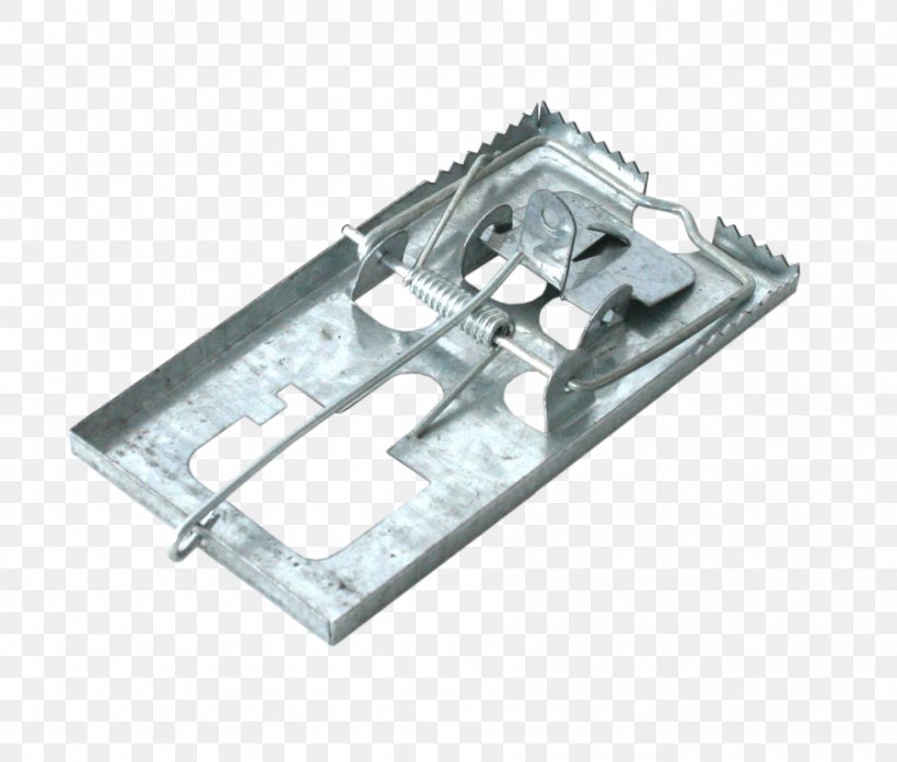 Rat Mousetrap Rodent Trapping, PNG, 903x768px, Rat, Bait, Deratizace, Hardware, Hardware Accessory Download Free
