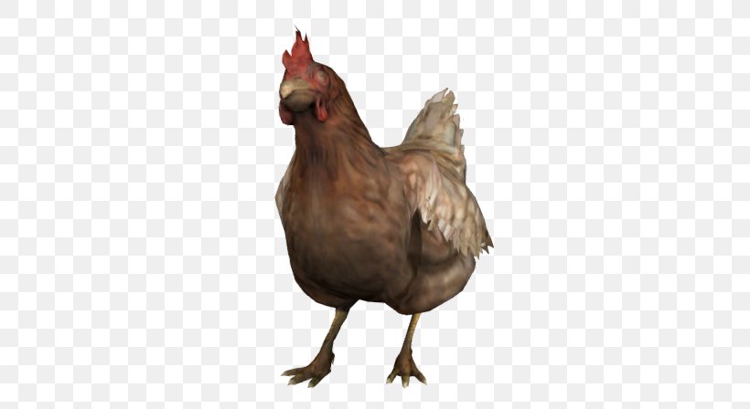 Counter-Strike: Global Offensive Leghorn Chicken Ixworth Chicken Hen Counter-Strike 1.6, PNG, 403x448px, Counterstrike Global Offensive, Beak, Bird, Cheating In Video Games, Chicken Download Free