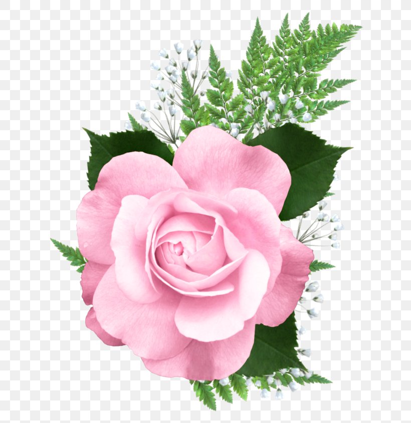 Rose Pink Clip Art, PNG, 673x845px, Rose, Artificial Flower, Color, Cut Flowers, Floral Design Download Free