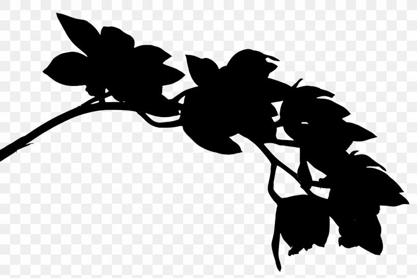 Twig Clip Art Illustration Plant Stem Leaf, PNG, 1600x1066px, Twig, Black M, Blackandwhite, Botany, Branch Download Free