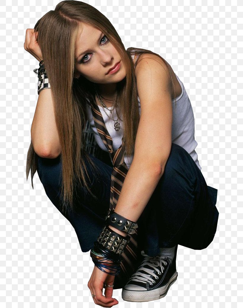 Avril Lavigne Let Go Sk8er Boi Losing Grip, PNG, 659x1040px, Watercolor, Cartoon, Flower, Frame, Heart Download Free