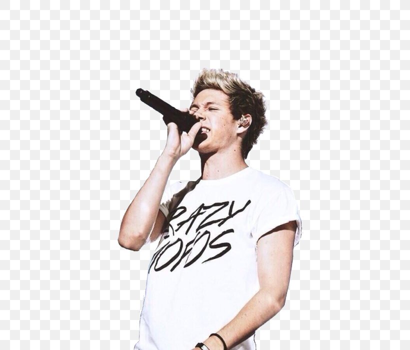 Niall Horan One Direction Musician This Town (Live, 1 Mic 1 Take), PNG, 500x700px, Watercolor, Cartoon, Flower, Frame, Heart Download Free