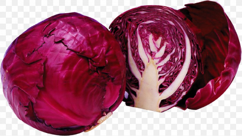 Red Cabbage Pink Purple Magenta Vegetable, PNG, 1442x812px, Red Cabbage, Beet, Beetroot, Cabbage, Magenta Download Free