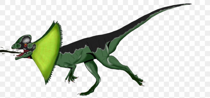 Velociraptor Dilophosaurus Dinosaur Tyrannosaurus Neck Frill, PNG, 900x422px, Velociraptor, Animal, Animal Figure, Concept, Concept Art Download Free
