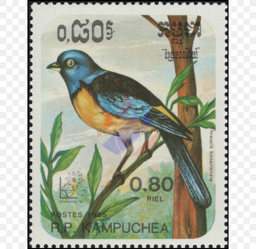 Advertising Airmail Postage Stamps Beak, PNG, 800x800px, Advertising, Airmail, Beak, Bird, Fauna Download Free