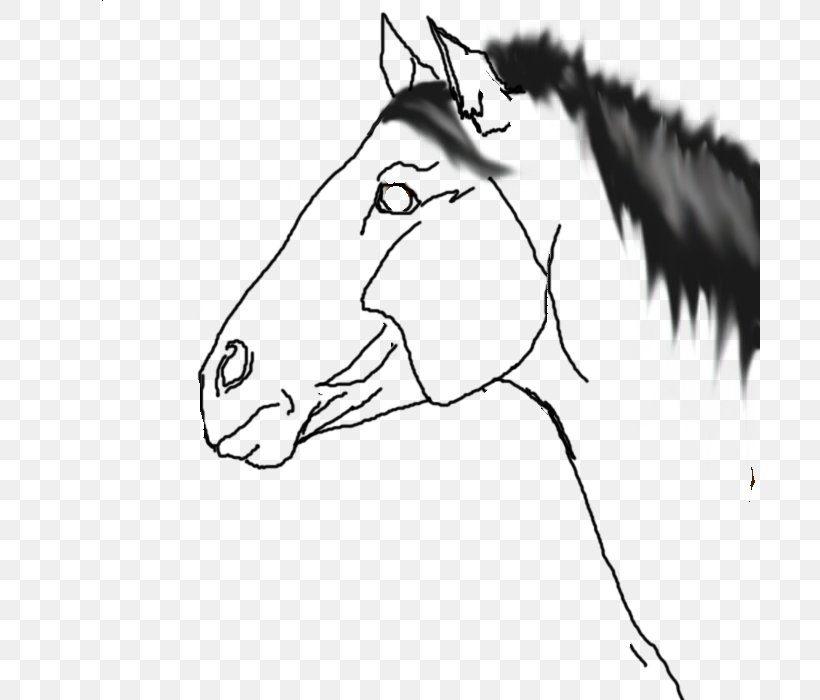 Mane Mustang Pony Appaloosa Halter, PNG, 700x700px, Mane, Appaloosa, Artwork, Black, Black And White Download Free