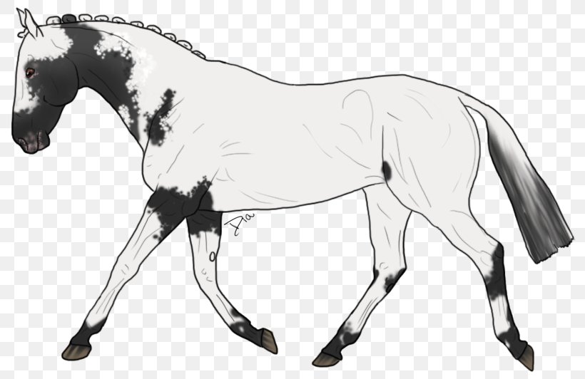 Mule Mustang Appaloosa Pony Foal, PNG, 800x532px, Mule, Animal Figure, Appaloosa, Artwork, Black And White Download Free